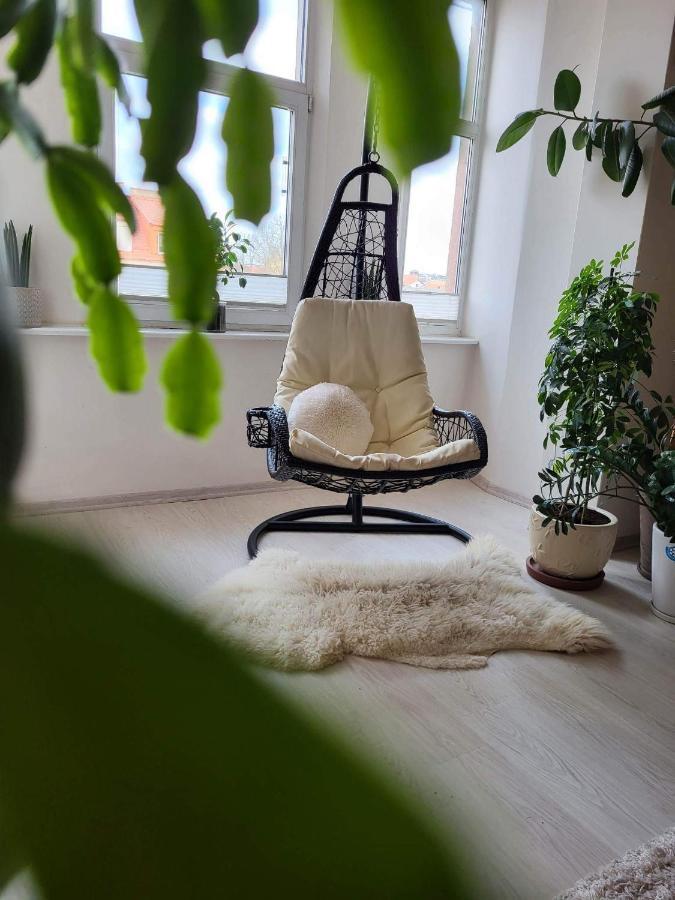 Cozy 2 Room Apartment In The Oldtown Of Klaipėda Exteriér fotografie